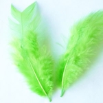 Plumas Pistacho (3gr.)
