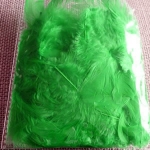 Plumas Pistacho (3gr.)