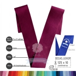 Beca de Graduación Junior en Fieltro (125x10cm) – 25 Colores Disponibles